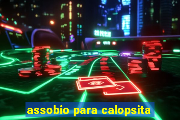 assobio para calopsita